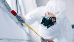 Best Real Estate Pest Inspections  in USA